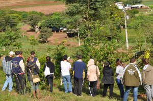Oficina de mudas em Pinhal. Foto: Andreia P Eckhardt