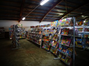 Grande quantia de livros foi exposta na feira. Foto: Tamires Zortéa.