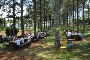 o almoço dos participantes aconteceu no bosque da instituição. Foto Adriano Dal Chiavon