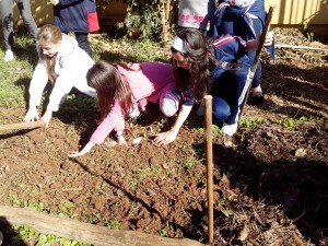 Em oficina crianças aprendem na pratica a plantar verduras