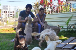 Caio e Priscila com seus cães adotados (Foto: Júlia Caroline Geib)