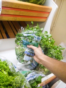 A população vem buscando um estilo de vida saudável, ingerindo frutas, verduras e legumes Foto: Gabriel Morcelli