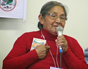 Dona Brasilia Ribeiro, representante do Movimento Indígena, falou sobre as dificuldades em ser mulher e índia na sociedade