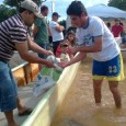 Quinta-feira, último dia de feira e dia de vender o pouco que ainda resta das várias toneladas de peixes preparadas para o evento. Foi um dia de muita venda e […]