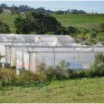 Experimentos de estudantes de Agronomia e Engenharia Florestal Fortes da Universidade Federal de Santa Maria, campus de Frederico Westphalen, estão entre os atingidos pelos fortes ventos. Com rajadas de vento […]