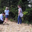 Esses estudantes são coordenados pelo professor Genesio Maria da Rosa do departamento de Engenharia florestal da UFSM- FW Essa atividade de extensão do grupo de pesquisa Gerenciamento Ambiental e Manejo […]