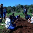 Com um clima agradável, a manhã desta quarta-feira, 03, começou muito proveitosa: realizou-se nas dependências do Colégio Agrícola de Frederico Westphalen (CAFW), no setor de Fruticultura, o segundo encontro aberto […]