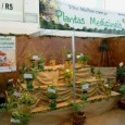 “Viva melhor com as Plantas Medicinais” foi o tema do espaço que chamou atenção dos visitantes no 30º Hortigranjeiros, finalizada ontem (6) em Santa Rosa. A partir de uma iniciativa […]