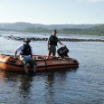 A pesca predatória é o período proibido de pesca, ou seja, ocorre no fase da piracema (que é o tempo em que acontece a desova dos peixe), sendo um ato […]