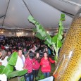 A 8ª Feira do Peixe, Agropecuária, Artesanato e Mostra da Terneira de Taquaruçu do Sul encerrou suas atividades nesta quinta-feira, 17 de abril. Durante o dia, aconteceu a venda de […]