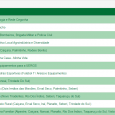 Foram divulgados os resultados preliminares da votação popular para definir as prioridades de investimento no sul do país. Os gaúchos puderam votar entre os dias 2 e 4 deste mês. […]