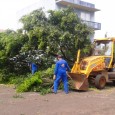 Quem mora em Frederico Westphalen vem sofrendo com as constantes mudanças climáticas, prova disso são as chuvas que permaneceram durante dias, alegrando a vida dos anfíbios de plantão. Durante essa […]