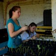 Na manha dessa quarta feira dia 15 de outubro, alunos do 2° e  3° ano do Colégio Agrícola de Frederico Westphalen tiveram aula de Silvicultura. A  Silvicultura estuda  os métodos […]