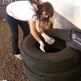 De janeiro à abril desse ano foram encontrados mais de 140 focos do mosquito no município Dos 26 municípios que fazem parte da 19° Coordenadoria Regional de Saúde, Frederico Westphalen […]