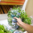    Grande parta da população vem buscando um estilo de vida saudável através de uma alimentação equilibrada, ingerindo frutas, verduras e legumes. Muitos escolhem abolir a carne, que é uma […]