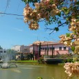 Aniversário da cidade conta com programação especial Nesse ano de 2016 a cidade de Palmitinho, que é considerada a capital regional da suinocultura e da exportação de mão de obra […]